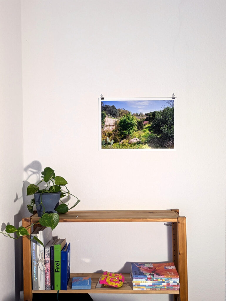Die Fotografie hängt an einer weißen Wand über einem Regal.